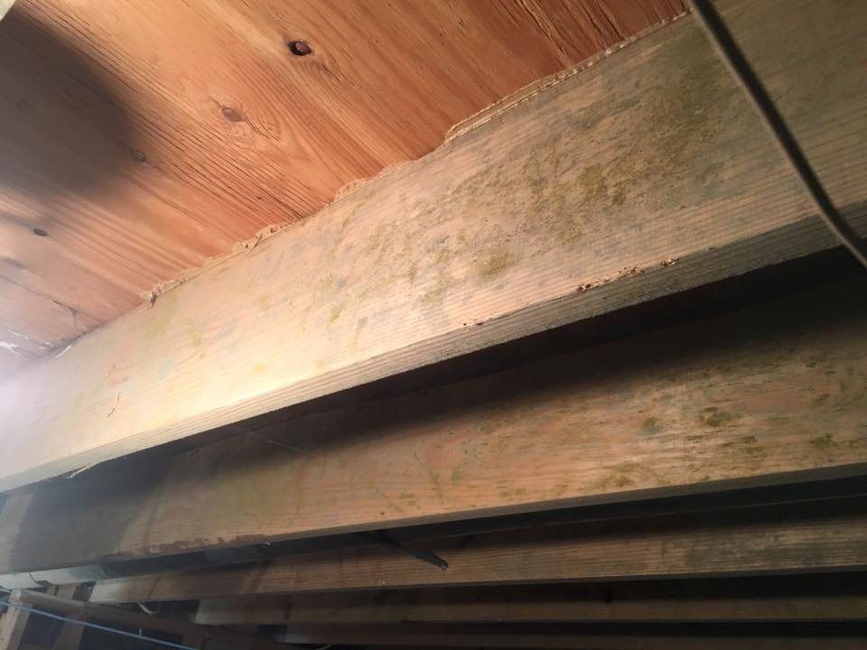 Mold Remediation: Before and After in Ladue, MO — before
