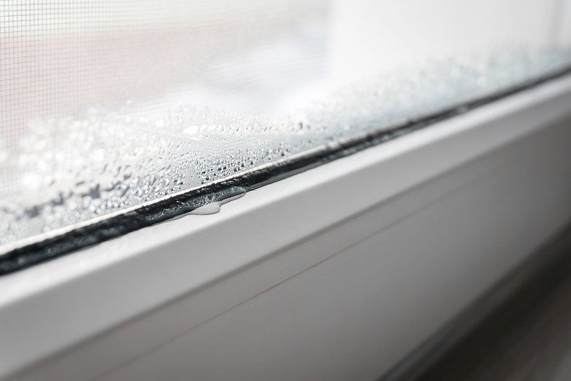 Factors Impacting the Water Damage Recovery Timeline in St. Louis