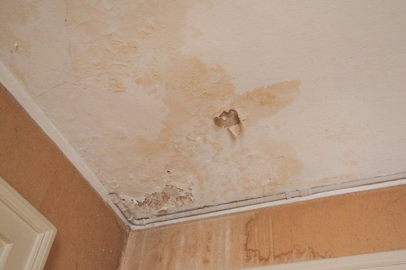 Mold Damage Restoration Solutions in Chesterfield