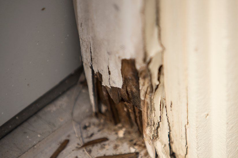 Expert Water Damage Restoration for St. Louis Hardwood Floors
