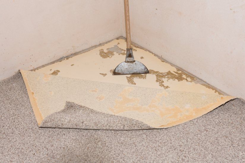 The Water Removal Process from Chesterfield Basements