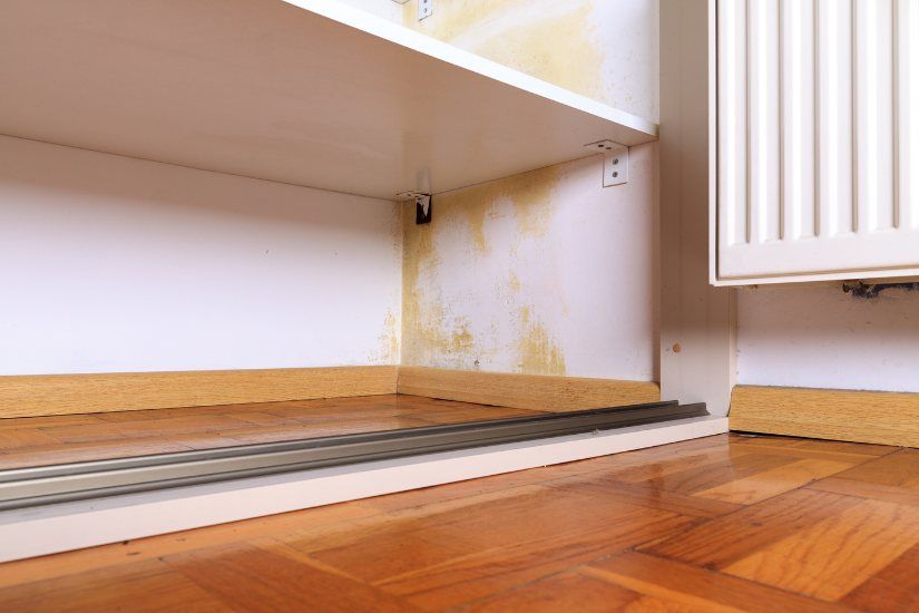 Skilled Mold Remediation Services in Chesterfield