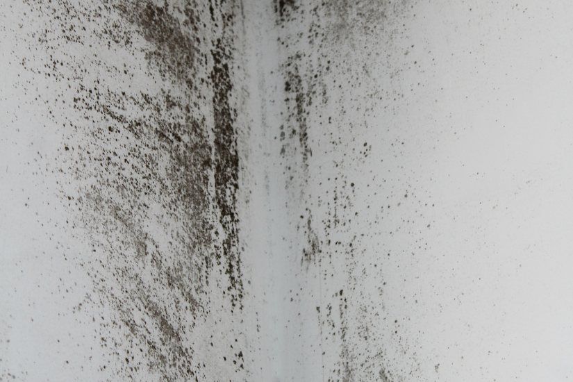 Mold Remediation in Chesterfield – What Homeowners Must Know