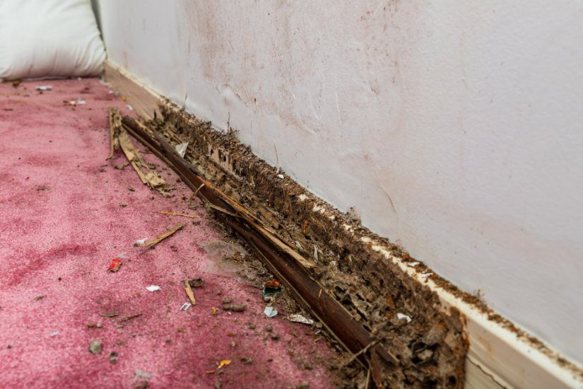 Professional St. Louis Kitchen Water Cleanup