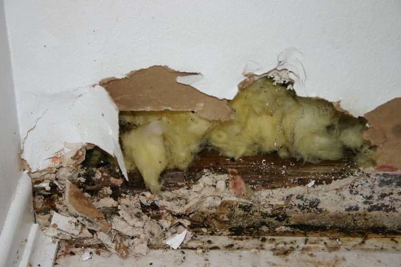 Areas of the Home Often Needing Water Damage Restoration