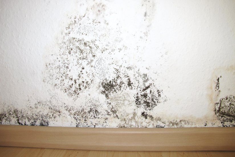 Media Blasting Effective for St. Louis Mold Remediation