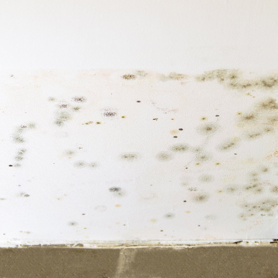 Water Damage Repairs in Chesterfield: Common Fixes