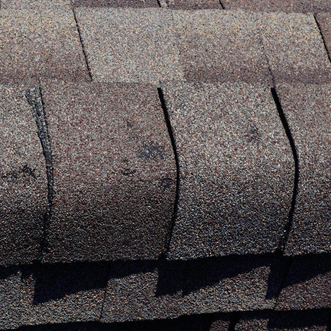 Water Removal Services That Set the Stage for Full Restoration and Remodeling