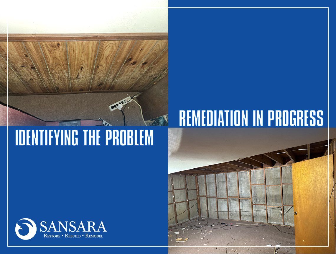 Basement Mold Damage Remediation Project