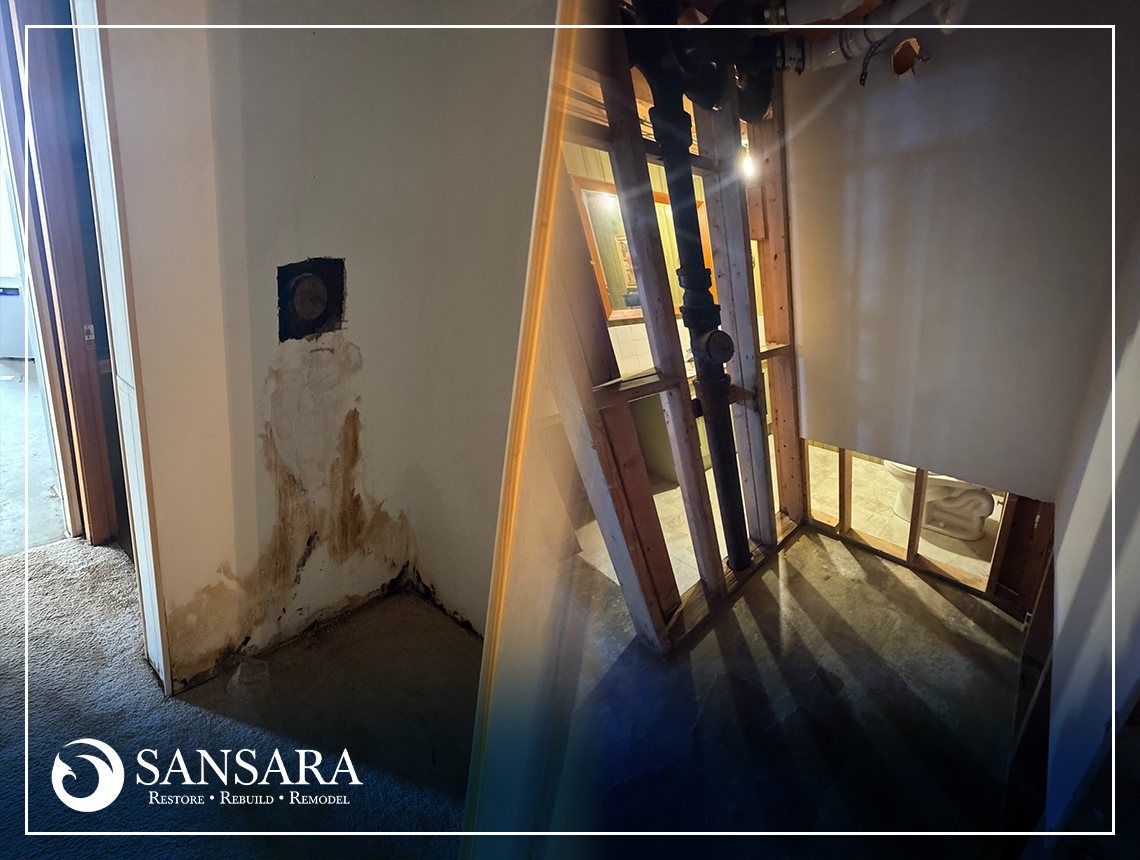 Water and Mold Damage Cleanup With Targeted Demo