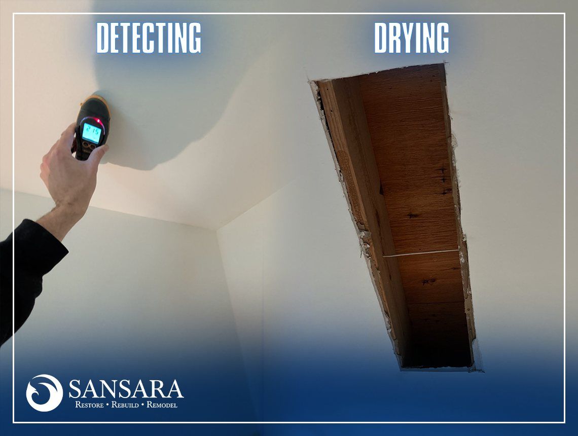 Detecting and Exposing Hidden Water Damage