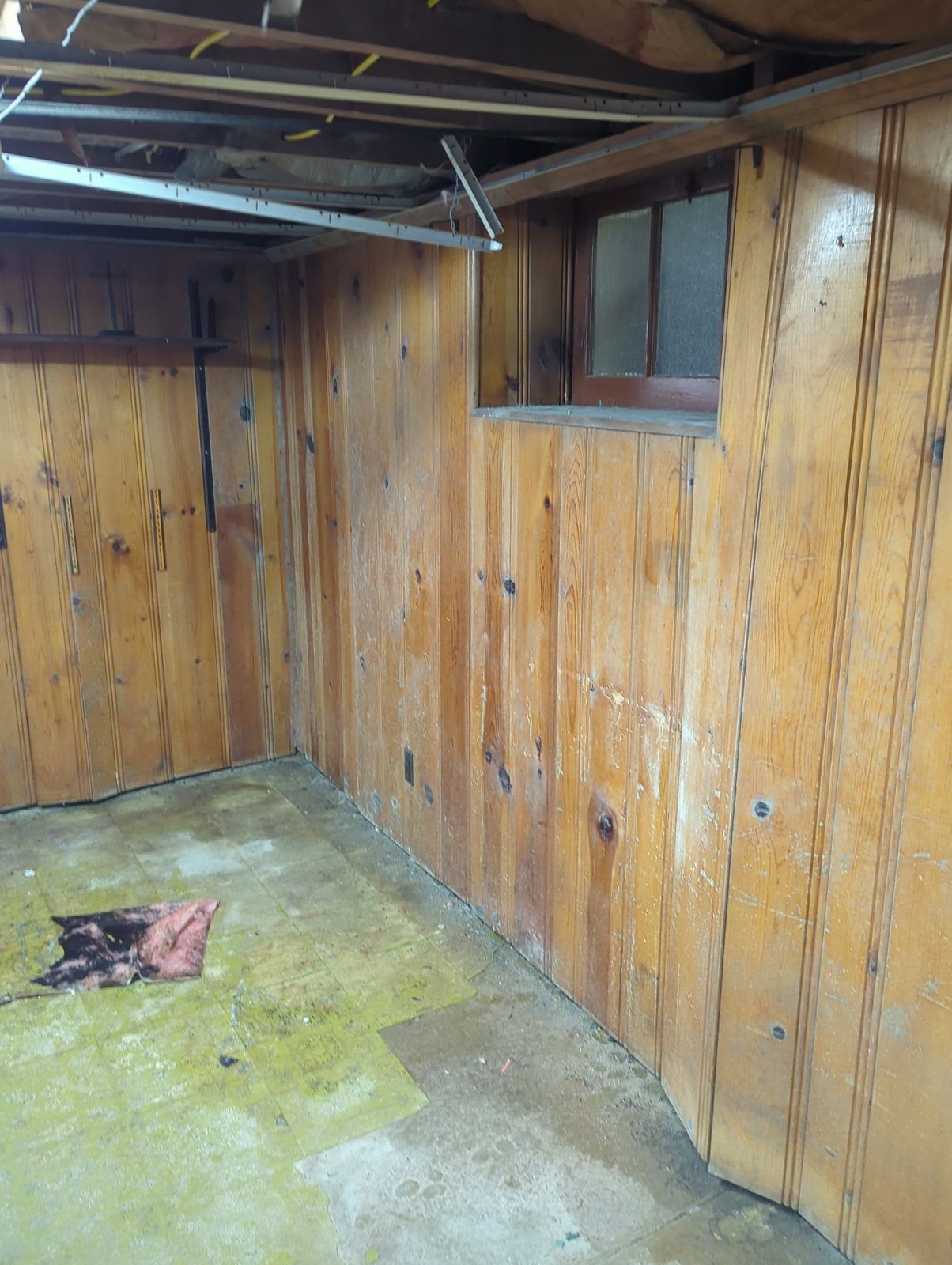 A basement with water and mold damage before cleanup