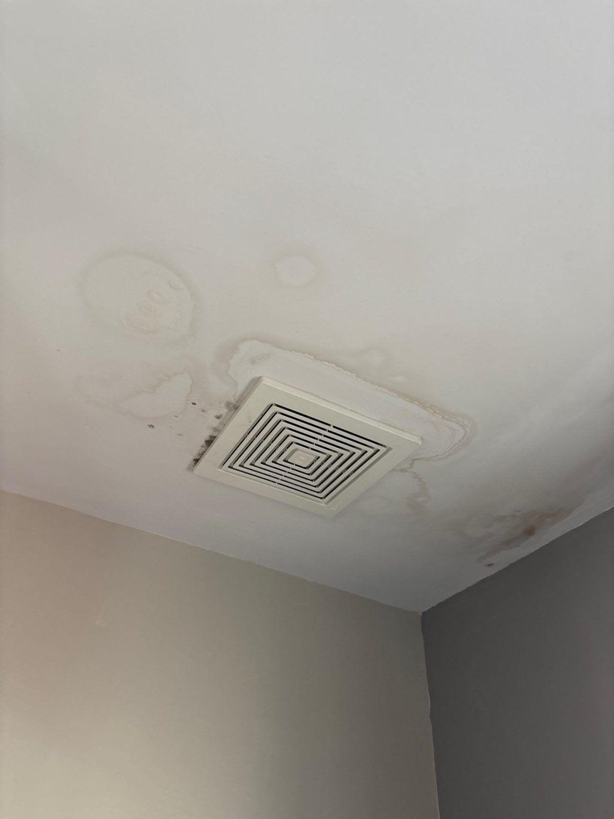 Before: a water-stained ceiling