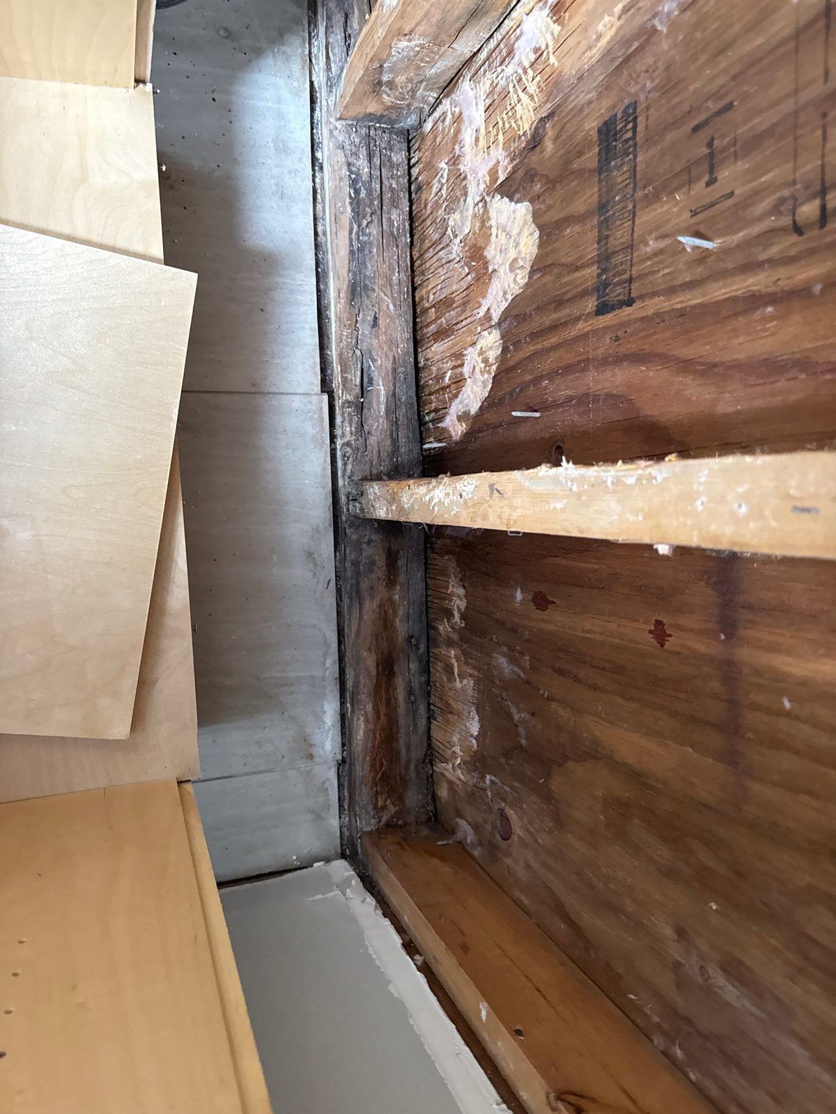 A rotted wall found behind a kitchen