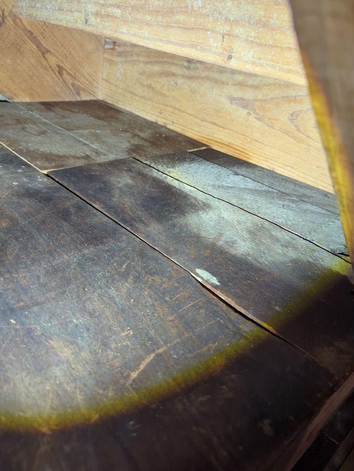 Visible mold on a basement subfloor