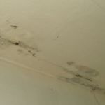 Blog photos 1 1