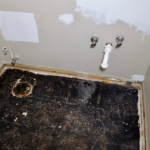 Blog photos 1