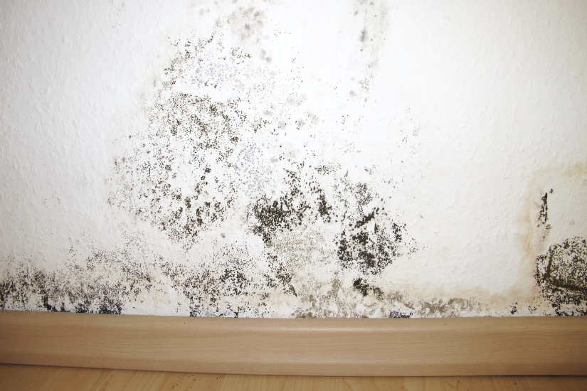 Blog photos 1 2