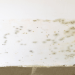 Water Damage Repairs in Chesterfield: Common Fixes 5 GBP Post 1