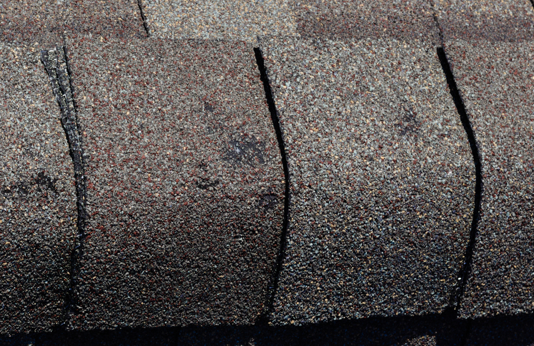 Water Removal Services That Set the Stage for Full Restoration and Remodeling 2 GBP Post 1