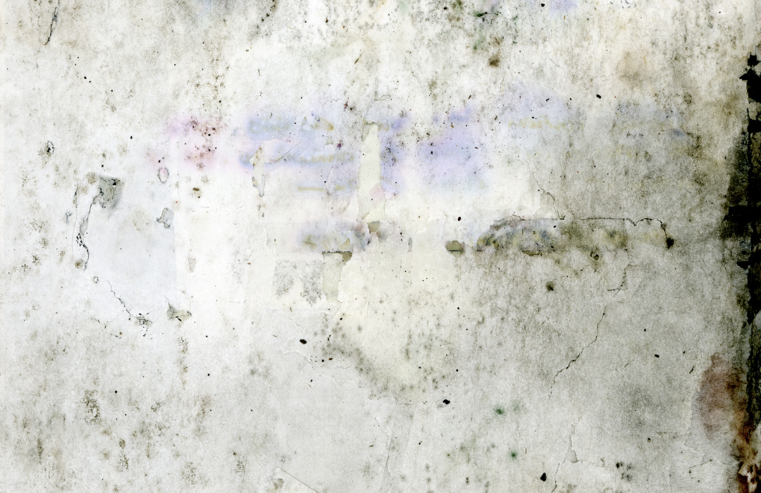 Affordable Water Damage Restoration Upgrades Every Homeowner Should Consider 2 GBP Post