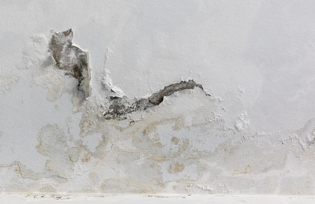 The Restaurant That Couldn’t Close, Even With Water Coming Through the Ceiling in St. Louis County 1 GBP Post