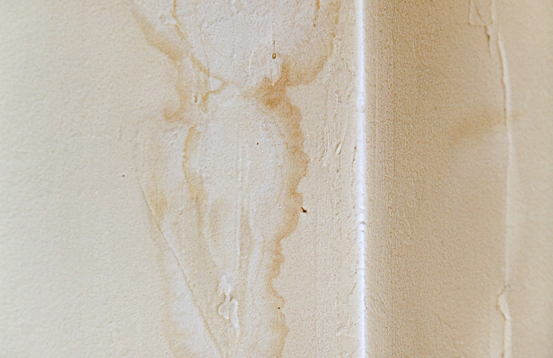 Why Drying a Chesterfield Home Is Not Enough 1 GBP Post