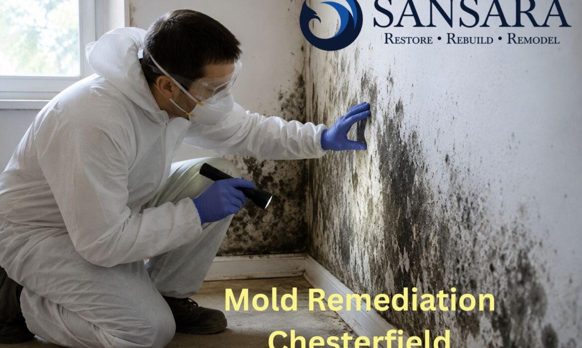 Mold Remediation Chesterfield 1