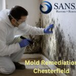 Mold Remediation Chesterfield: Protect Your Health with Sansara 5 Mold Remediation Chesterfield 1