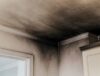 Sansara Fire Damage