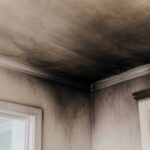 Sansara Fire Damage