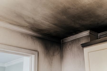 What That Persistent Smoke Smell in Your Ladue Home Really Means 1 Sansara Fire Damage