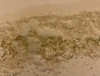 ADC Blog Photo 1