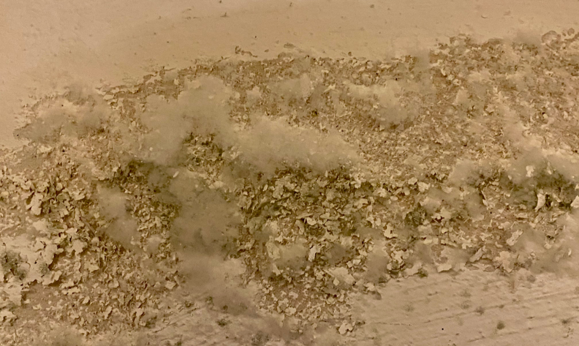 BBB A+ Rated Mold Testing and Mold Remediation in Ladue, MO 1 ADC Blog Photo 1
